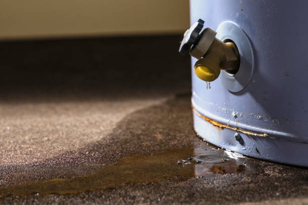 Best Flood restoration services  in Piednt, MO