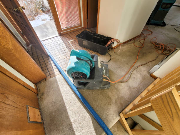  Piednt, MO Water damage restoration Pros