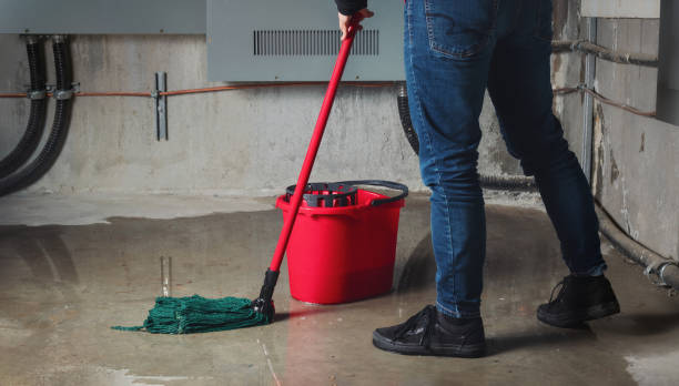 Best Emergency water damage restoration  in Piednt, MO