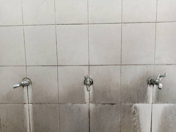 Best Carpet water damage restoration  in Piednt, MO