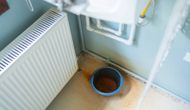 Best Mold removal after water damage  in Piednt, MO
